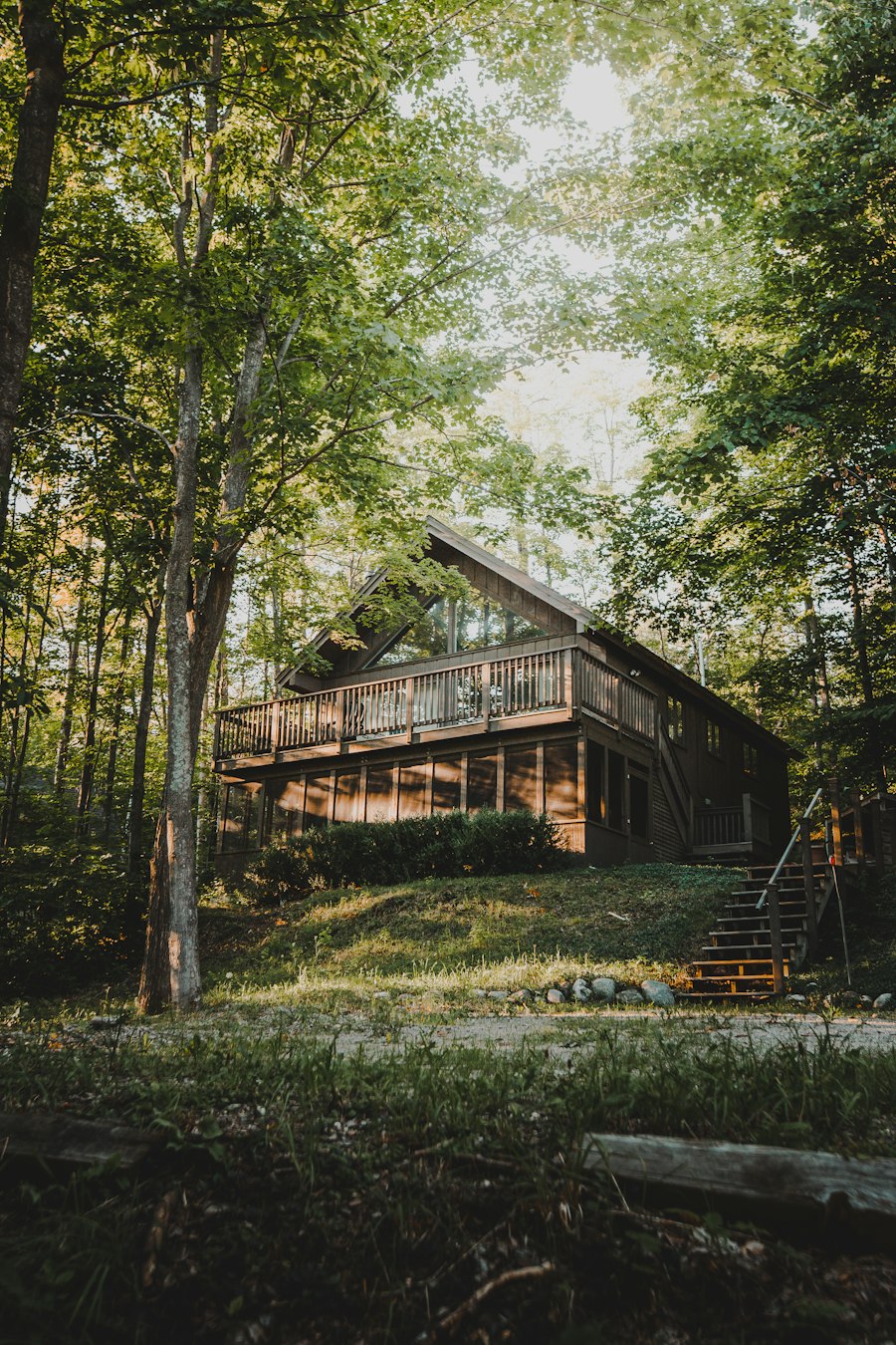 Wooden cabin glowing among tall pines