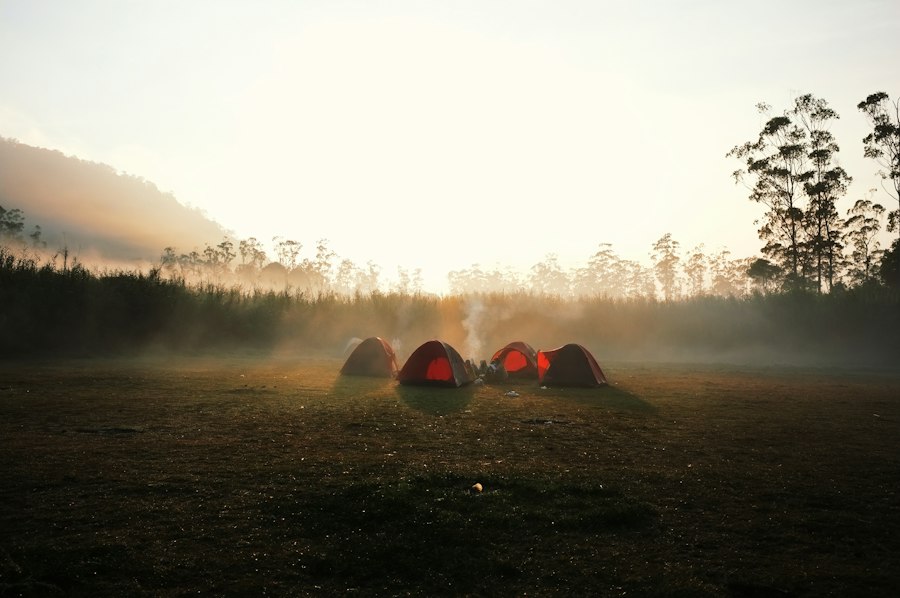 Tents at sunrise in a mountain meadow